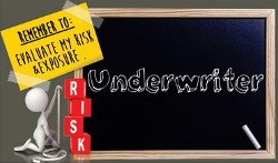 Insurance Agent (Insurance Underwriter)