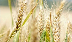 Creativity: Thinking Outside the Box