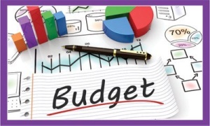 budgets__financial_reports_linkedin