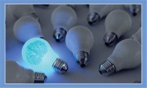 knowledge_managent_linkedin