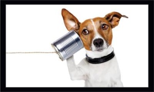 teleworker_and_telecommuting_linkedin