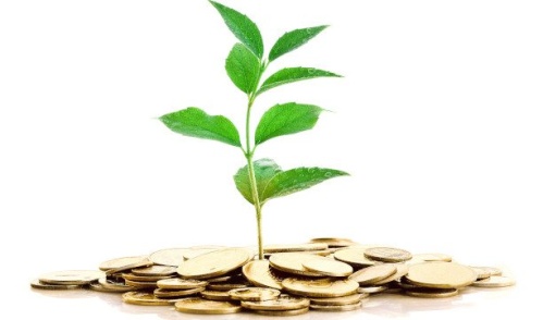 COB7: Basic and Collective Investments