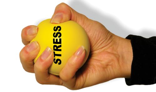 Stress Management 2025/26